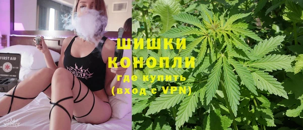 Альфа ПВП Инта