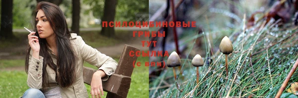 экстази Инсар