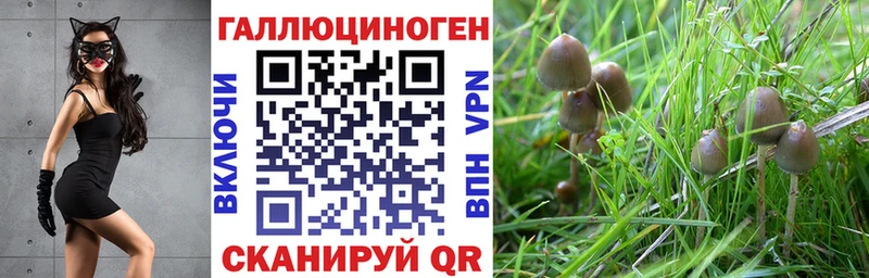 где найти наркотики  Лянтор  Галлюциногенные грибы мухоморы 